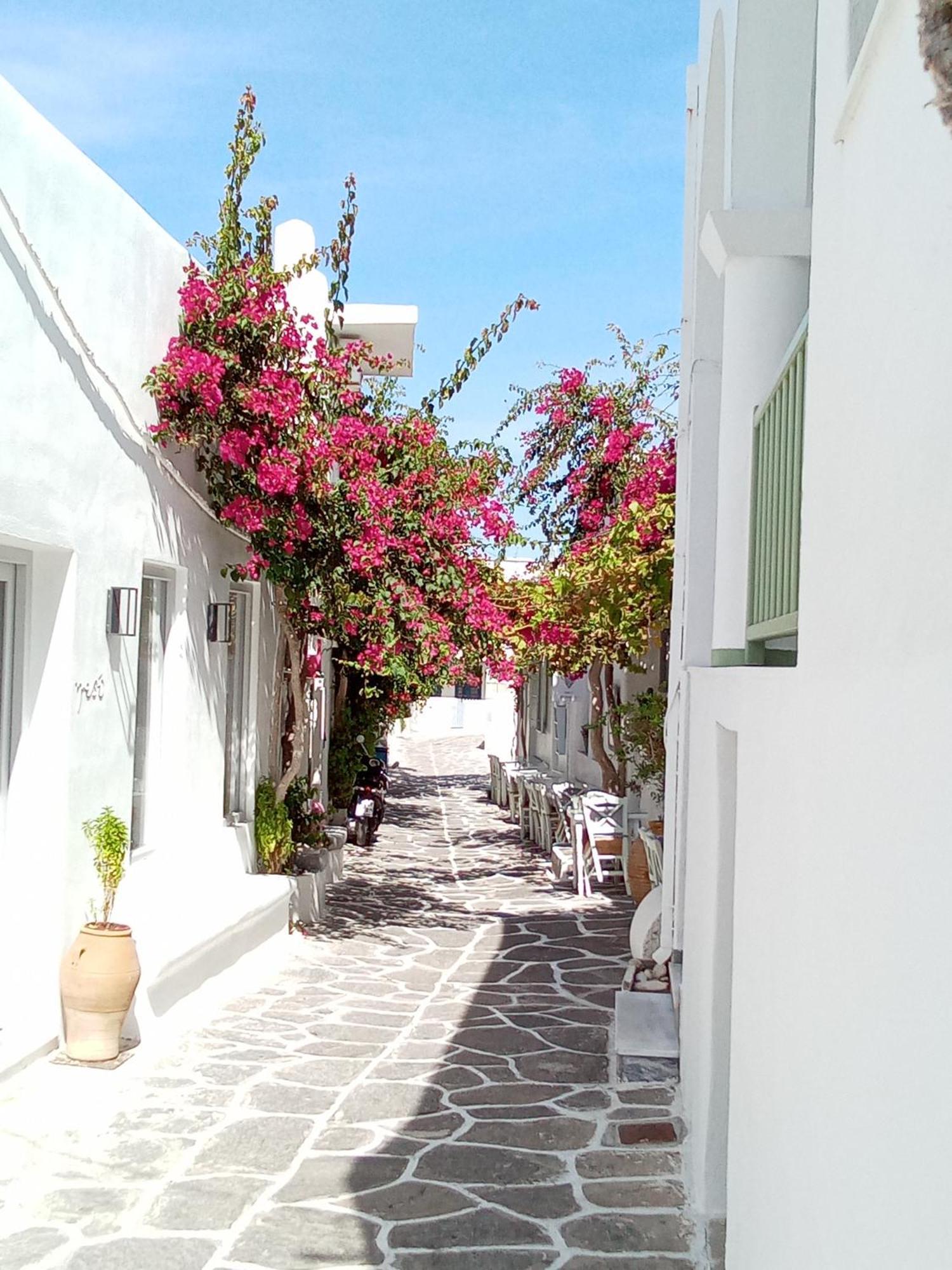 Апарт отель Sunloft-Paros Науса Экстерьер фото